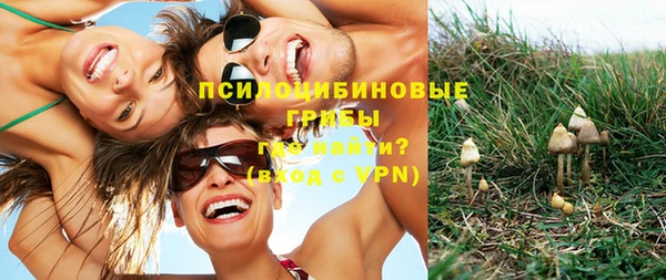 мяу мяу мука Алзамай