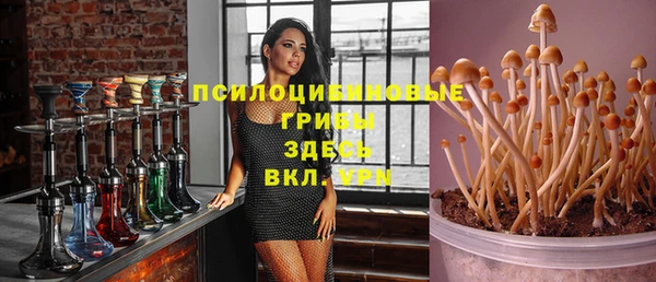 метадон Алексеевка