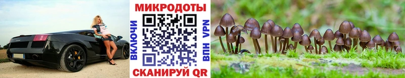 Псилоцибиновые грибы MAGIC MUSHROOMS  Железногорск 